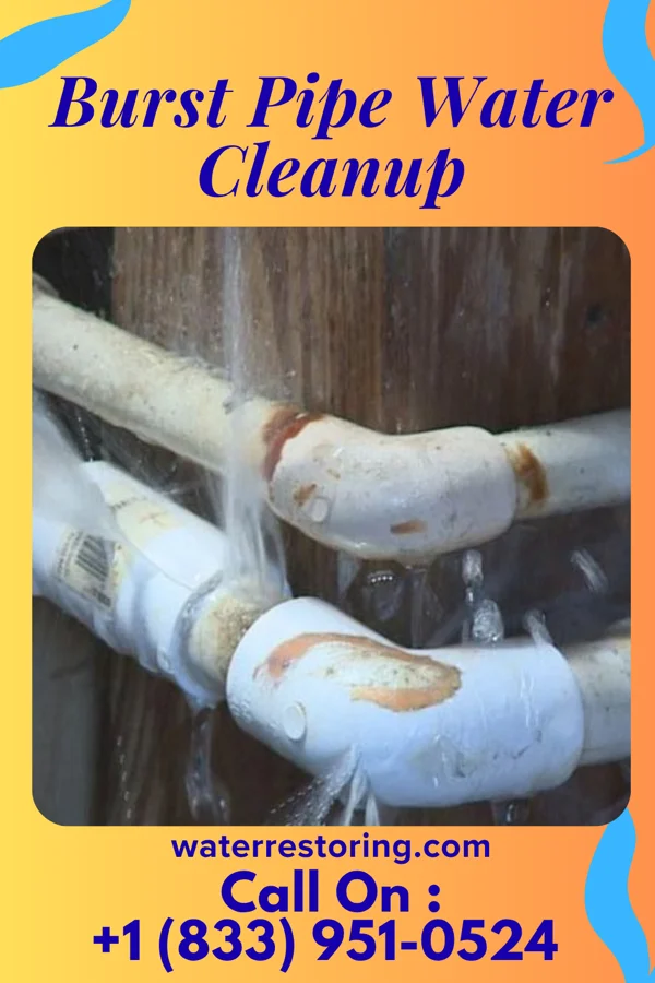 Burst Pipe Water Cleanup in Little Ferry, NJ