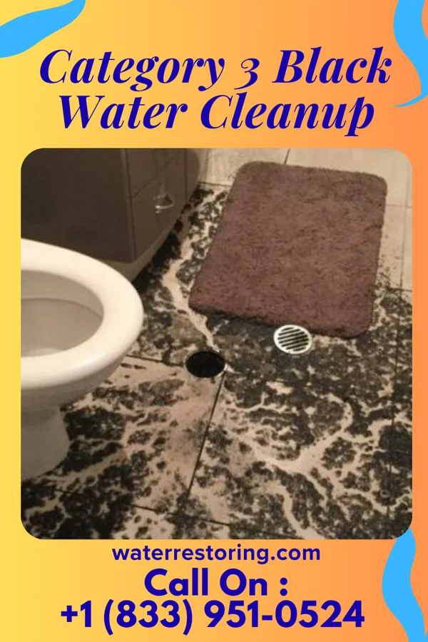 Category 3 Black Water Cleanup in Little Ferry, NJ