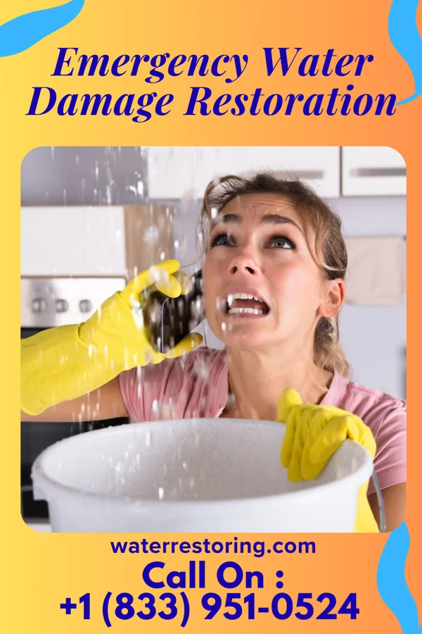 Emergency Water Damage Restoration in Little Ferry, NJ