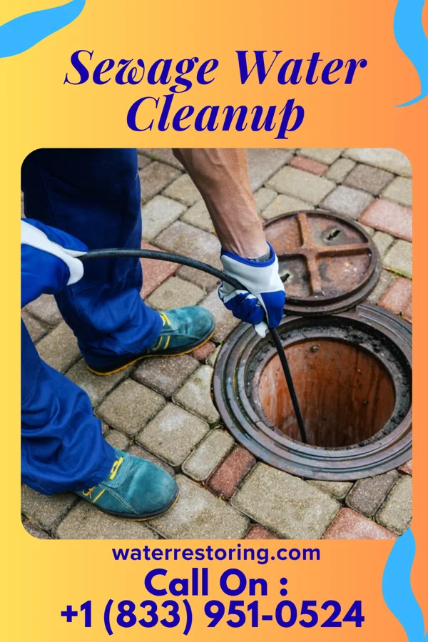 Sewage Water Cleanup in Little Ferry, NJ