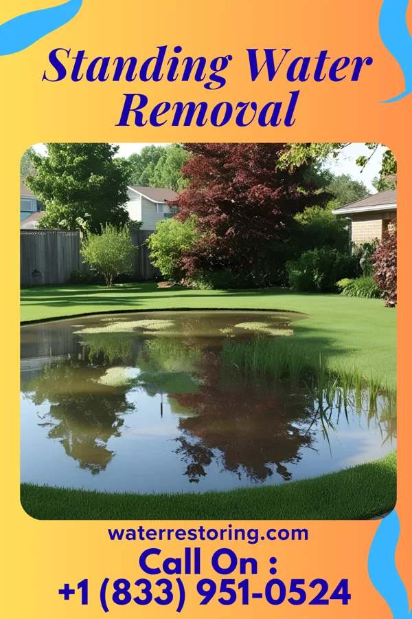 Standing Water Removal in Little Ferry, NJ